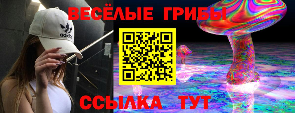 Псилоцибиновые грибы мухоморы Дивногорск
