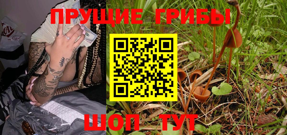 купить наркоту  Галлюциногенные грибы GOLDEN TEACHER  Вход с VPN  Дивногорск 